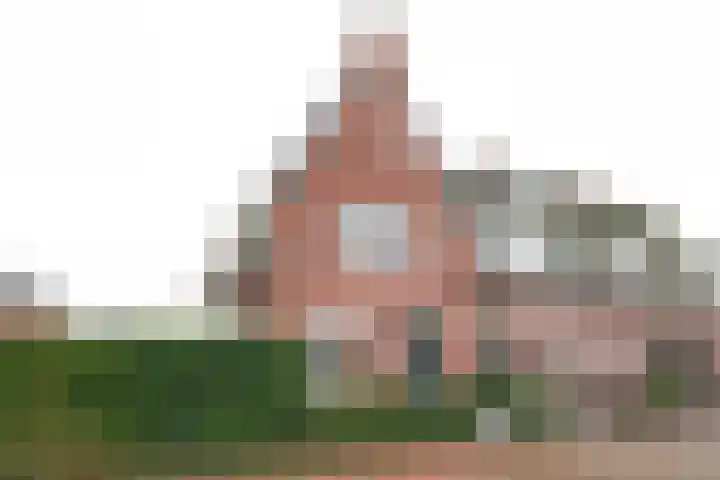 de Houtwerf 8 Westendorp