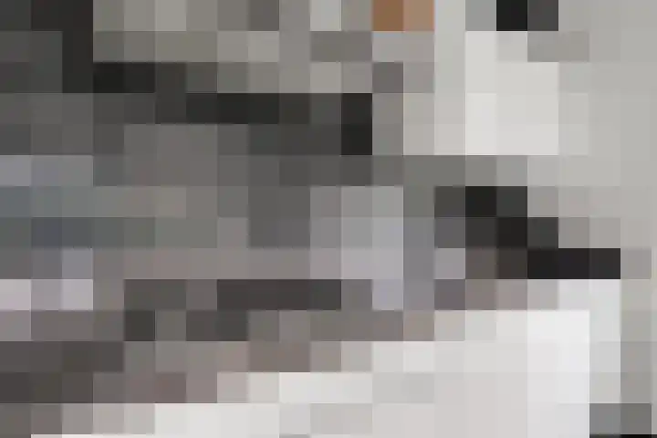 de Houtwerf 8 Westendorp thumbnail 11
