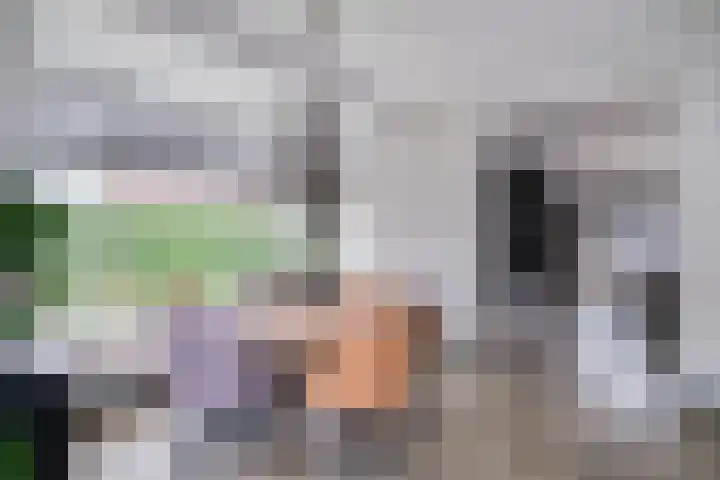 de Houtwerf 8 Westendorp thumbnail 12