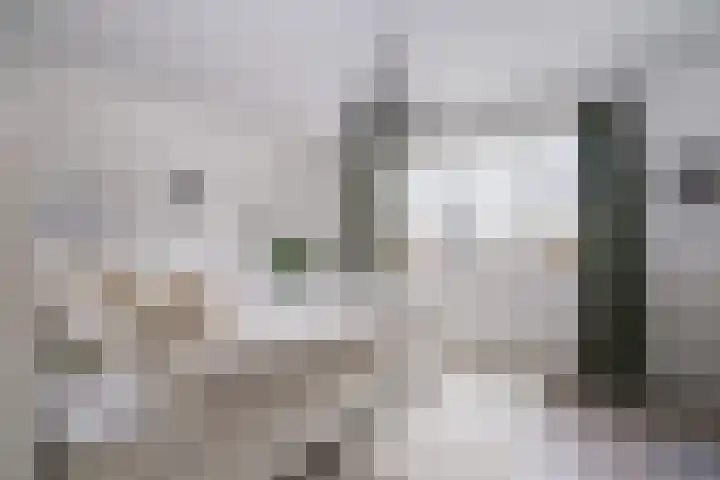 de Houtwerf 8 Westendorp thumbnail 13
