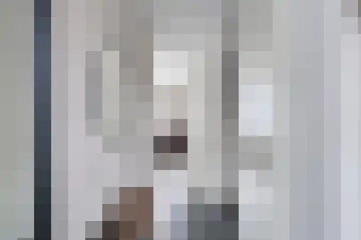 de Houtwerf 8 Westendorp thumbnail 5