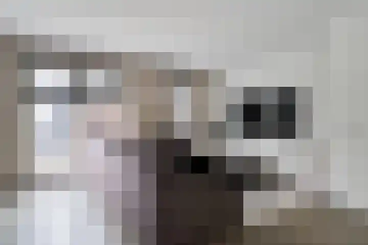 de Houtwerf 8 Westendorp thumbnail 7
