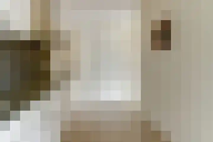 De Hovel 30 11 Goirle thumbnail 12