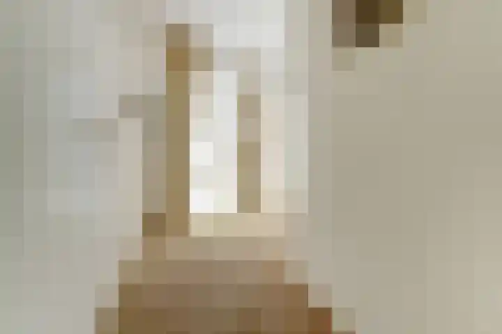 De Hovel 30 11 Goirle thumbnail 19