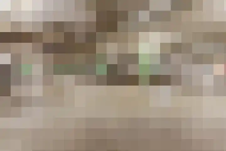 De Hovel 30 11 Goirle thumbnail 28