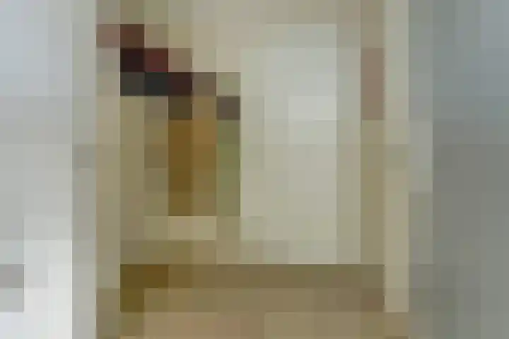 De Hovel 30 11 Goirle thumbnail 6