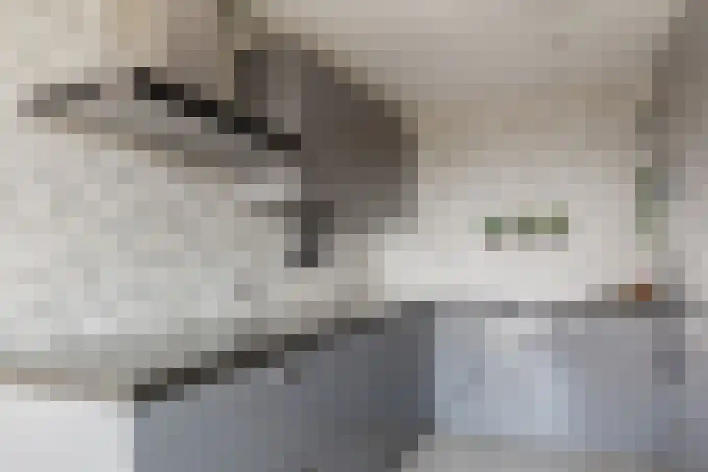 De Hoven 101 Heemskerk thumbnail 16