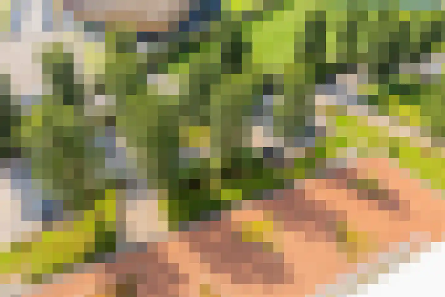 De Hoven 101 Heemskerk thumbnail 31