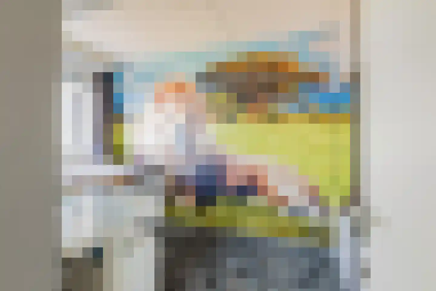 De Hoven 101 Heemskerk thumbnail 38