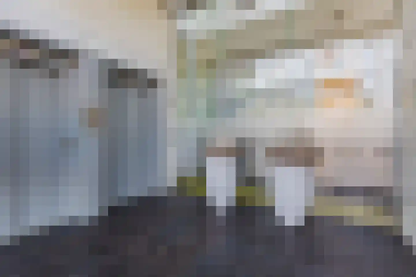 De Hoven 101 Heemskerk thumbnail 4