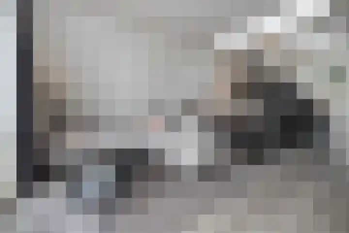 De Hoven 26 Barneveld thumbnail 10