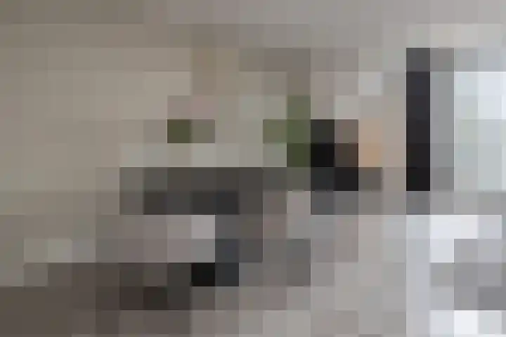 De Hoven 26 Barneveld thumbnail 11