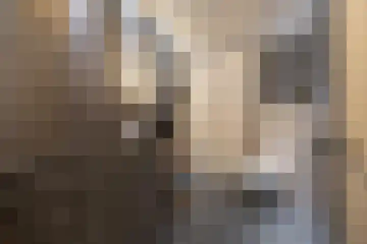 De Hoven 26 Barneveld thumbnail 24