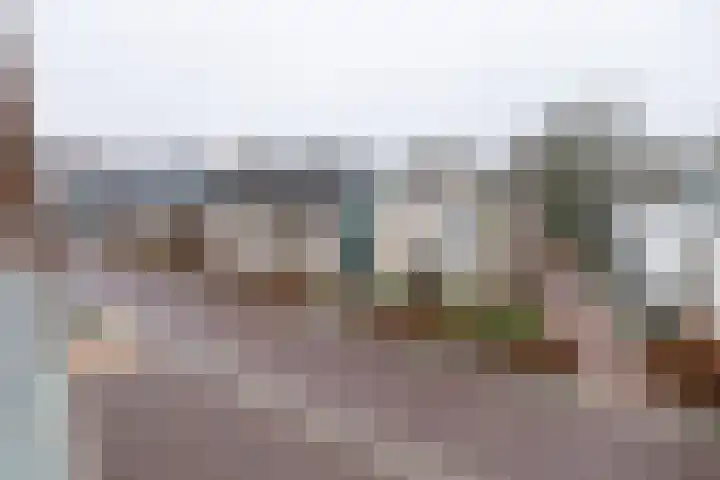 De Hoven 26 Barneveld thumbnail 30