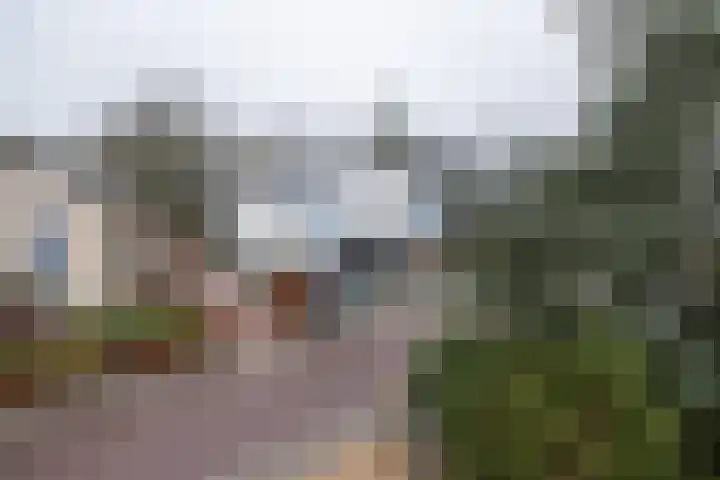 De Hoven 26 Barneveld thumbnail 31