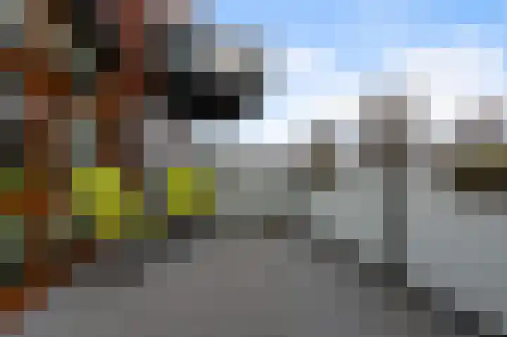 De Hoven 44 Heemskerk thumbnail 12
