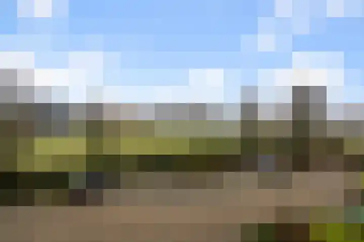 De Hoven 44 Heemskerk thumbnail 13