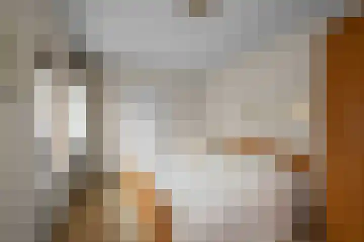 De Hoven 44 Heemskerk thumbnail 20