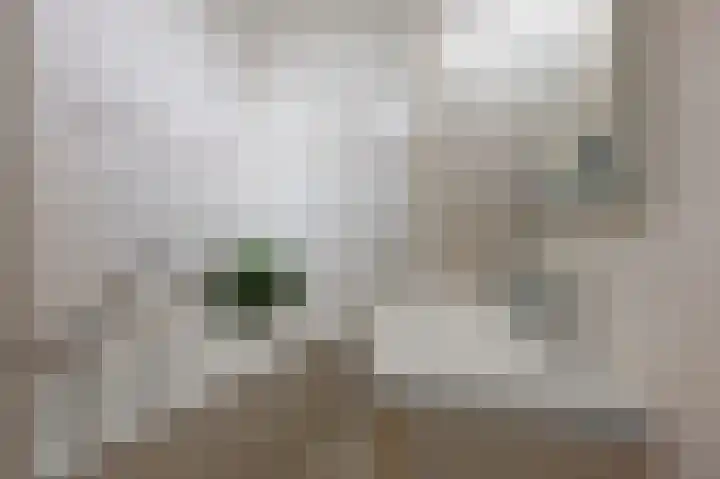 De Hoven 44 Heemskerk thumbnail 25