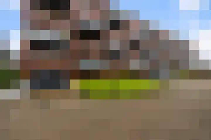 De Hoven 44 Heemskerk thumbnail 31