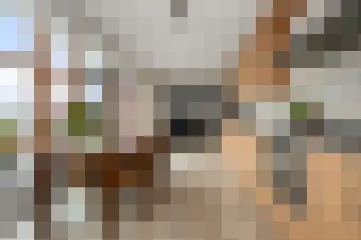 De Hoven 44 Heemskerk thumbnail 7