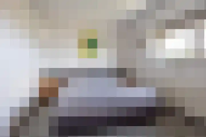 De Hoven 79 Heemskerk thumbnail 13