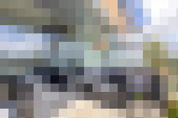 De Hoven 79 Heemskerk thumbnail 22