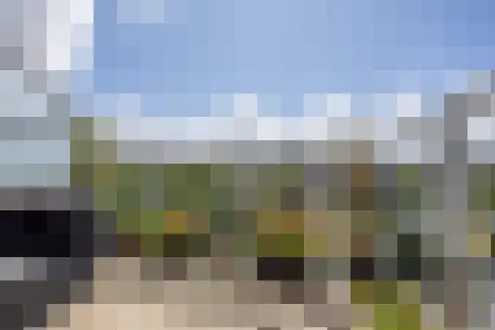 De Hoven 79 Heemskerk thumbnail 23