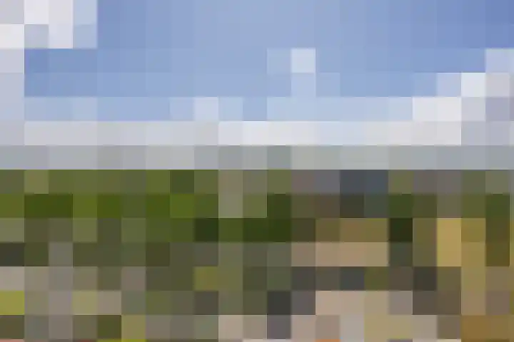 De Hoven 79 Heemskerk thumbnail 24