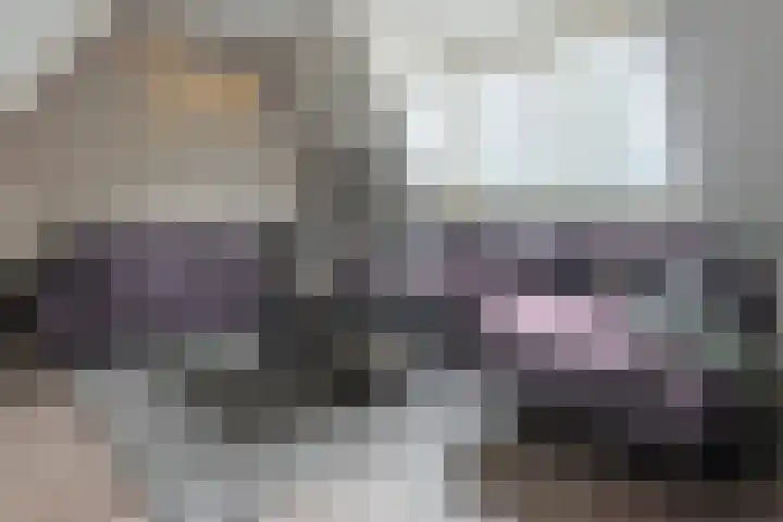 De Hoven 9 Barneveld thumbnail 14