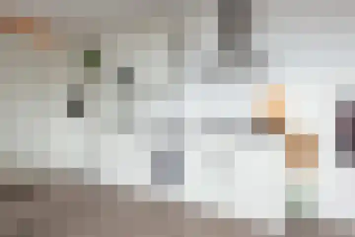 De Hoven 9 Barneveld thumbnail 18