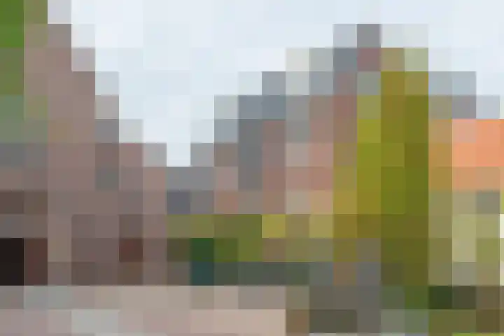 De Hoven 9 Barneveld thumbnail 4