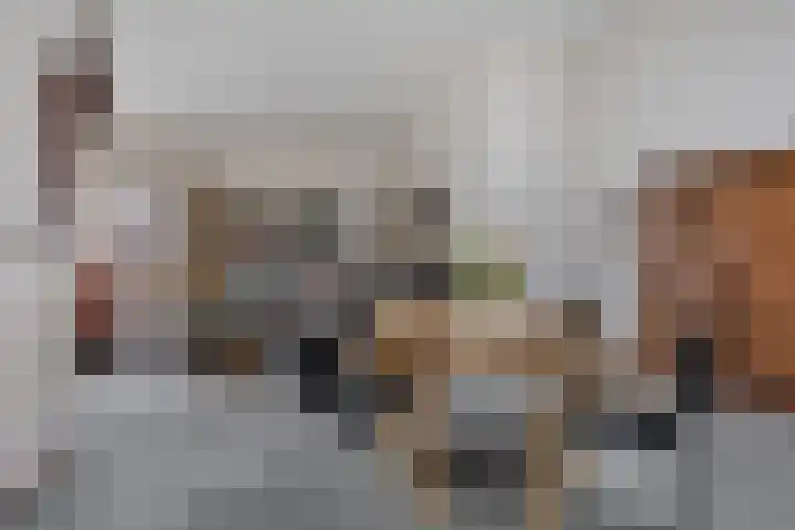 De Hovenier 9 Veldhoven thumbnail 16
