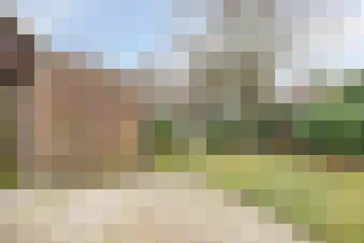 De Hovenier 9 Veldhoven thumbnail 38