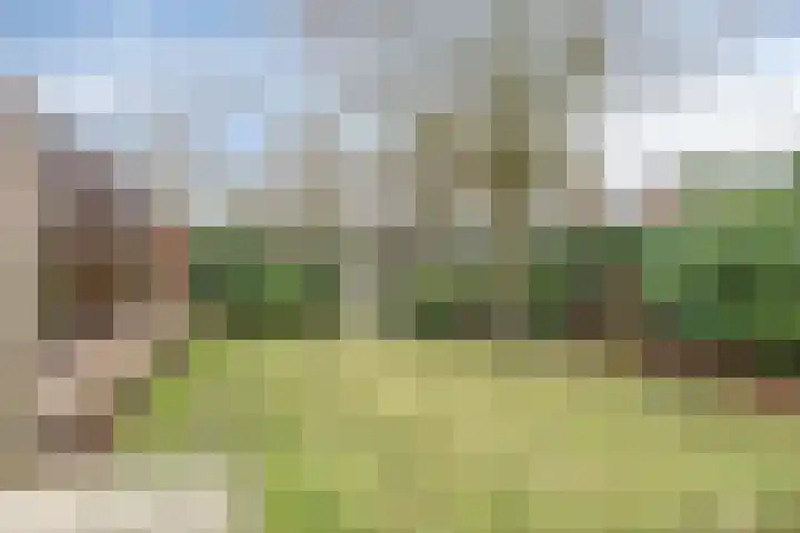 De Hovenier 9 Veldhoven thumbnail 39