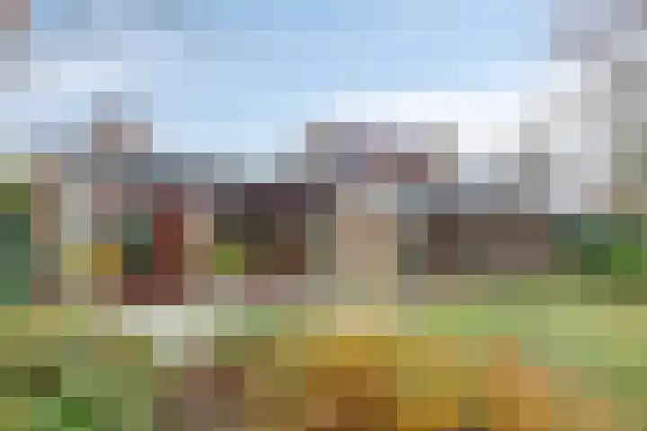 De Hovenier 9 Veldhoven thumbnail 4