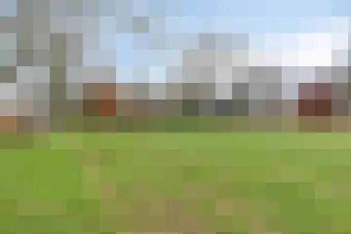 De Hovenier 9 Veldhoven thumbnail 48