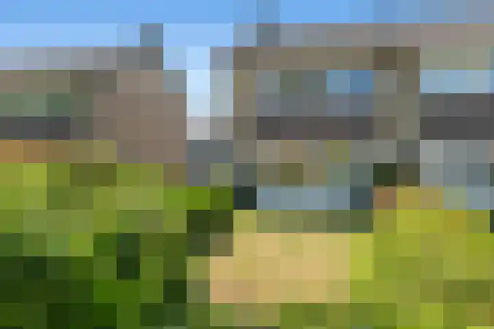 De Huifkar 10 en Biddinghuizen