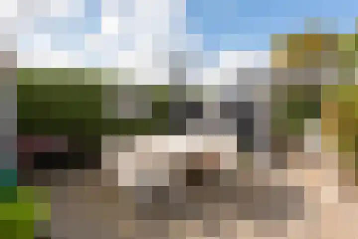 De Hulk 6 A 142 Berkhout thumbnail 31