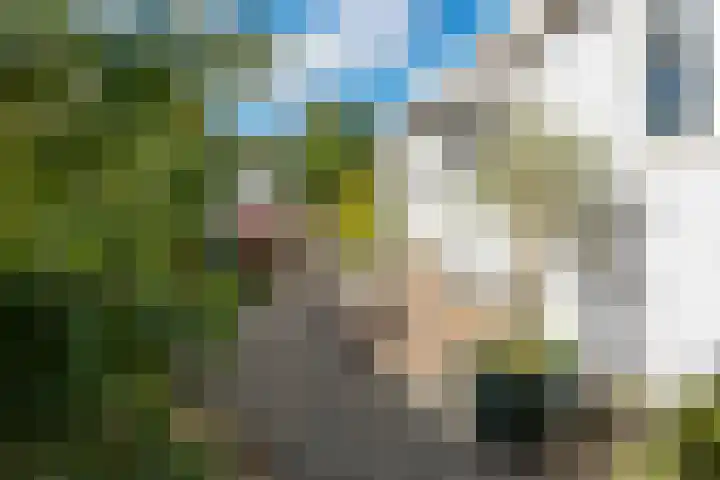 De Hulk 6 A 142 Berkhout thumbnail 40
