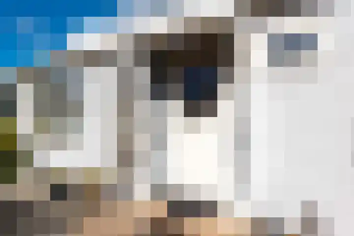 De Hulk 6 A 142 Berkhout thumbnail 41