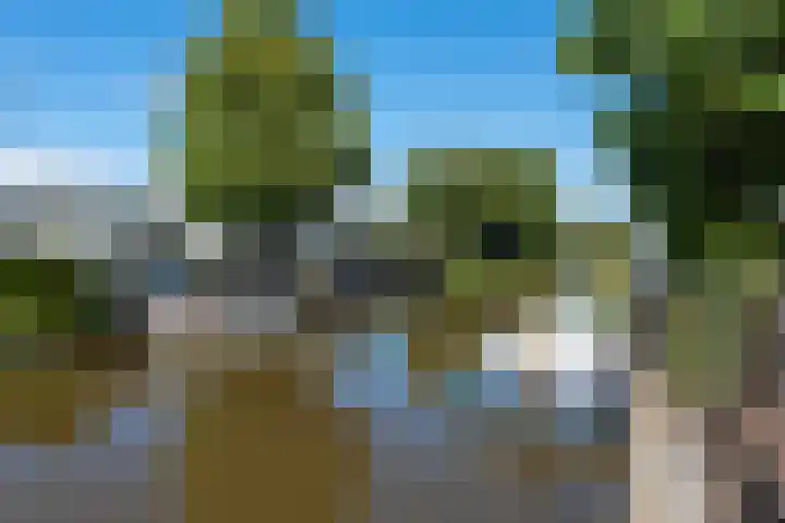 De Hulk 6 A 142 Berkhout thumbnail 43