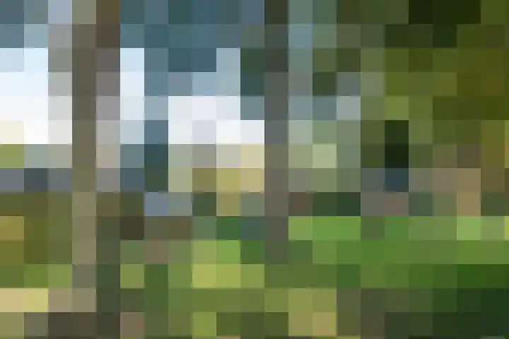 De Hulk 6 A 142 Berkhout thumbnail 48