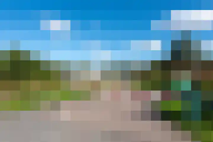 De Hulk 6 A 142 Berkhout thumbnail 50