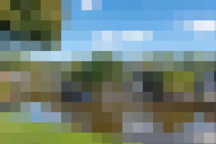 De Hulk 6 A 142 Berkhout thumbnail 52