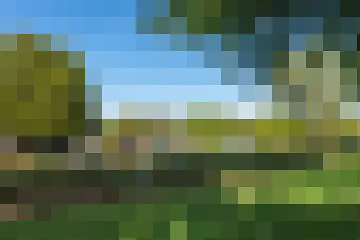 De Hulk 6 A 142 Berkhout thumbnail 53