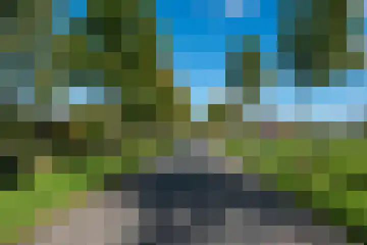 De Hulk 6 A 142 Berkhout thumbnail 54