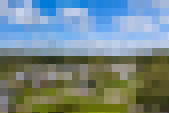 De Hulk 6 A 142 Berkhout thumbnail 57