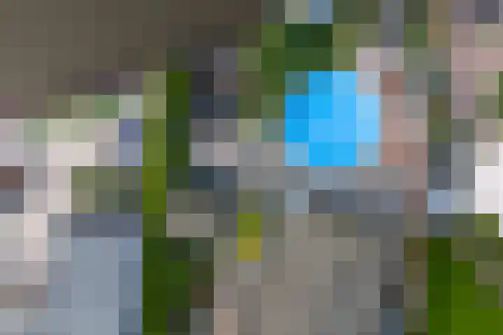 De Hulk 6 A 142 Berkhout thumbnail 59