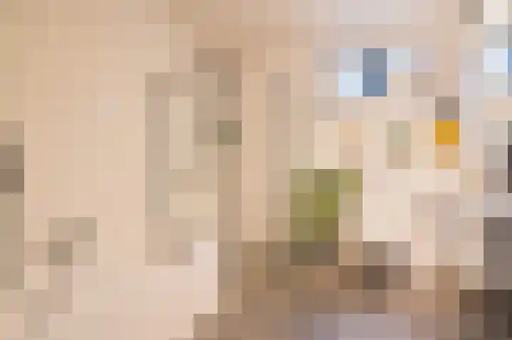 De Hulle 1 Deventer thumbnail 14